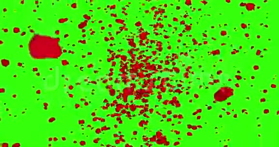 数字动画红玫瑰花瓣在绿色屏幕上的旋涡中飞舞颜色关键背景淡出循环无缝视频的预览图