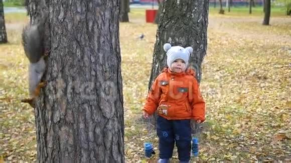 孩子们在秋天的公园里散步视频的预览图