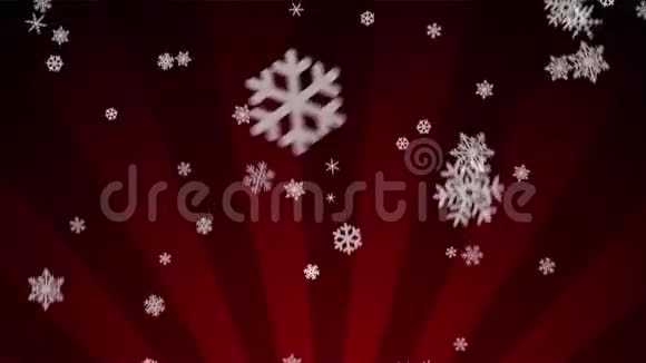 红桡骨环上的观赏雪视频的预览图