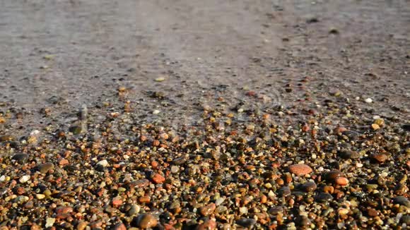 波罗的海沙滩上的卵石视频的预览图