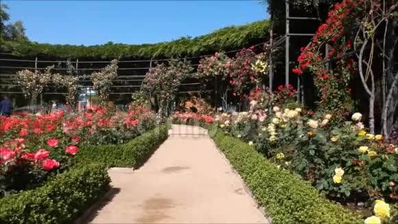 智利圣地亚哥玫瑰花园鸟瞰图视频的预览图