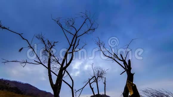 死亡树和枯黄的草在云和太阳光线的蒙天景观的时间流逝水平滑块运动视频的预览图