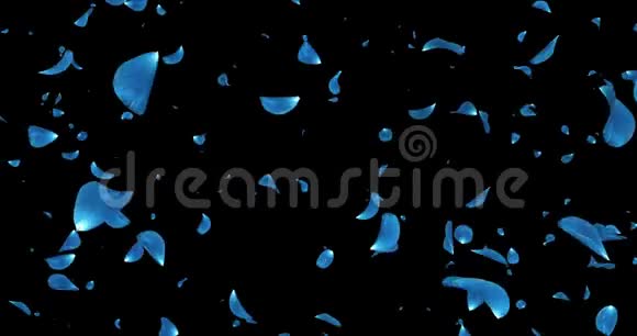 坠入爱河的深蓝色玫瑰花花瓣背景阿尔法哑光环4k视频的预览图