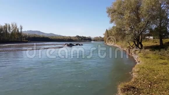 夏季的山河自然景观溪景岸景视频的预览图
