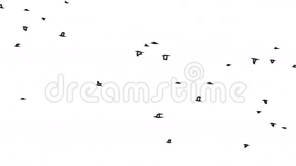 鸟群飞行抽象卡通视频的预览图