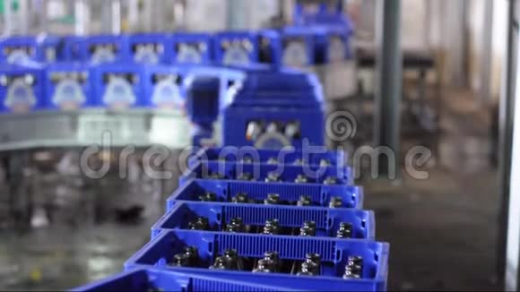 啤酒厂传送带啤酒瓶生产和装瓶视频的预览图