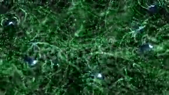 绿色内部闪闪发光的粒子无缝闪烁视频的预览图