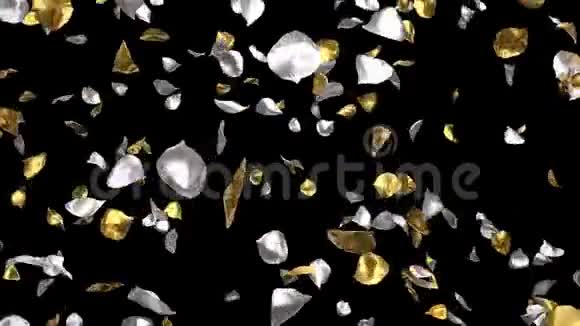 飞舞的浪漫金色银玫瑰花花瓣落在阿尔法海峡循环视频的预览图