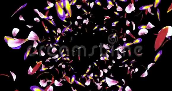 红粉黄樱花花瓣飞行背景阿尔法哑光环4k视频的预览图