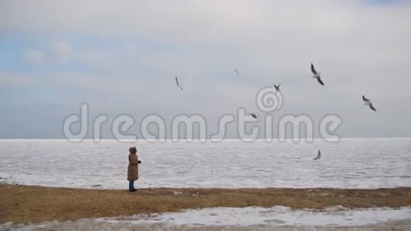 饥饿的海鸥飞翔在冰冻的冰盖海洋上女人飞视频的预览图
