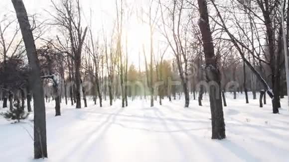冬季景观冬季公园视频的预览图