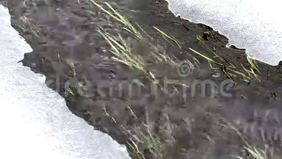 有冰雪的小溪视频的预览图