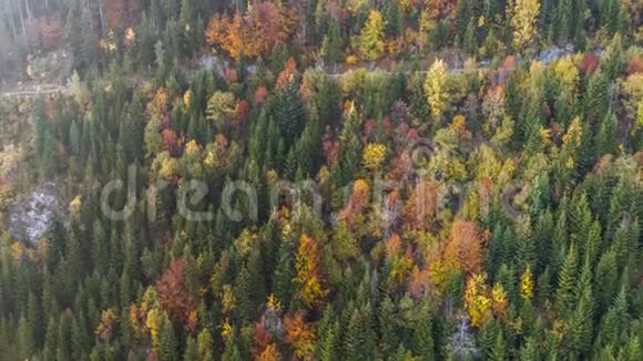 秋季森林山脉Switzeland航空4K视频的预览图