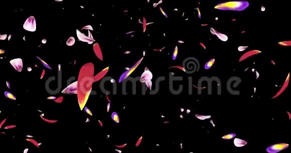 飞粉紫樱花花瓣飘落背景阿尔法哑光环4k视频的预览图