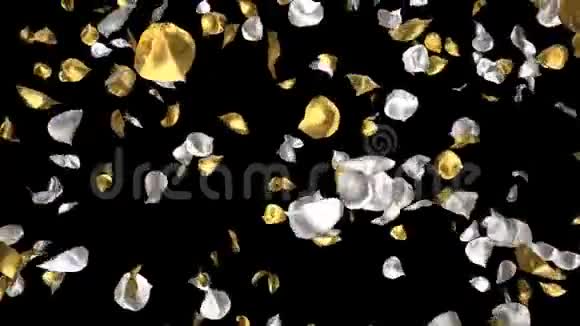 飞舞的浪漫金色银玫瑰花花瓣落在阿尔法海峡循环视频的预览图