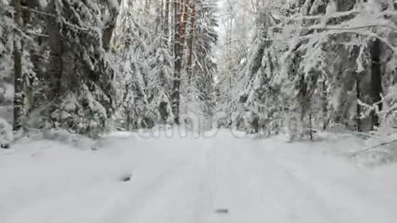 雪林中的冬天视频的预览图