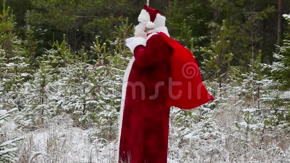 森林里有圣诞老人和礼品袋视频的预览图
