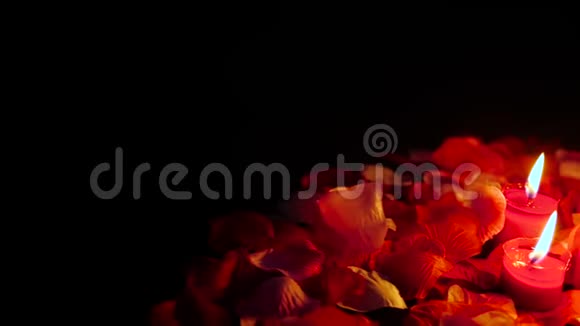 鲜花花瓣与蜡烛燃烧的镜头问候情人节视频的预览图