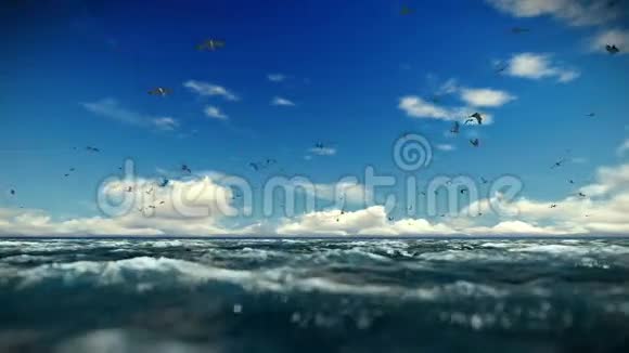 波涛汹涌的大海和海鸥时间流逝的云彩包括声音视频的预览图