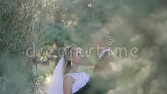 新郎在阳光的公园里拥抱新娘视频的预览图