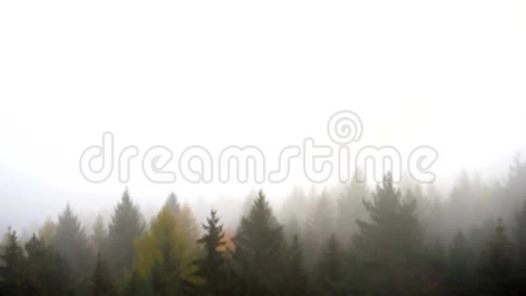 景观中的雾和风视频的预览图