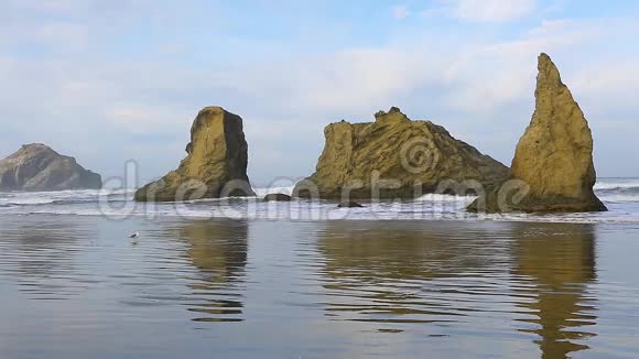 太平洋海岸冲浪视频的预览图