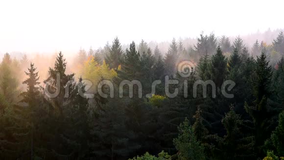 景观中的雾和风视频的预览图