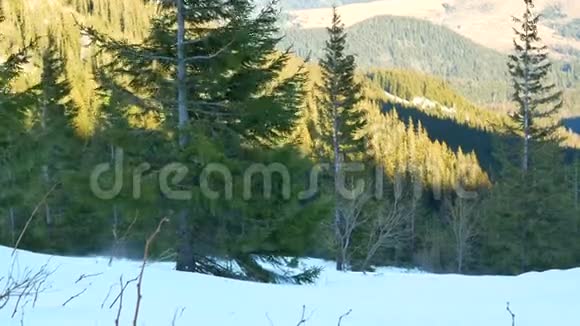 雪山冬天视频的预览图