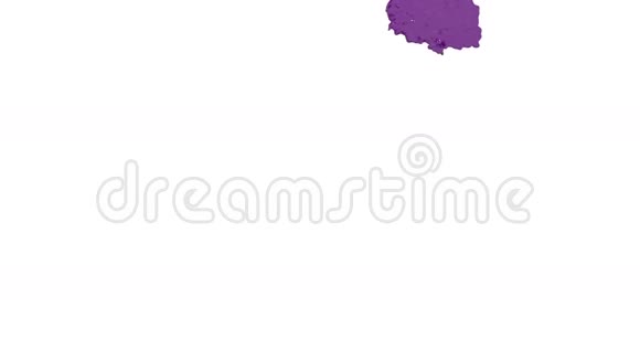 紫罗兰色的油漆流落在白色的背景屏幕上滴落在白色上3D渲染与阿尔法面具视频的预览图