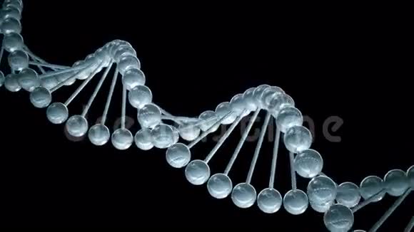 DNA模型循环动画视频的预览图