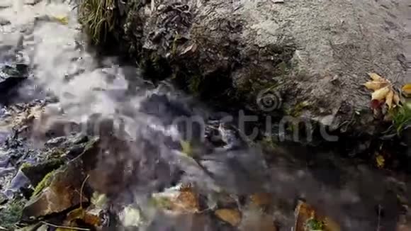 秋天湖附近的急流视频的预览图