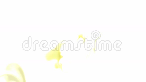 白色背景上的黄色油漆飞溅视频的预览图
