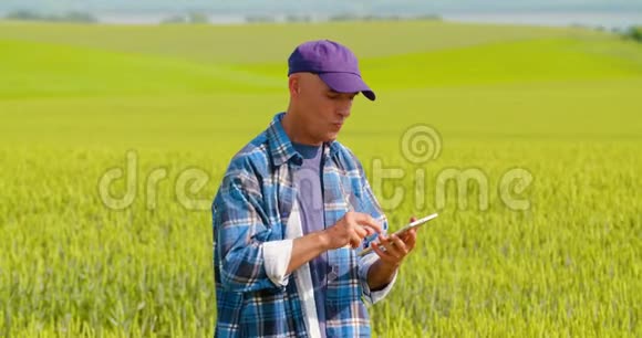 农民在农业麦田上使用数字平板电脑视频的预览图