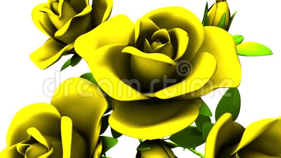 白色背景上的黄色玫瑰花束视频的预览图