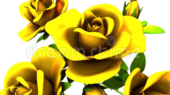 白色背景上的黄色玫瑰花束视频的预览图