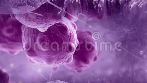 高细节的癌细胞视频的预览图