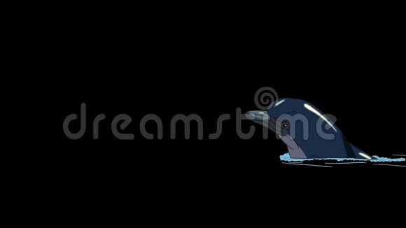 海军蓝海豚在水中游泳视频的预览图