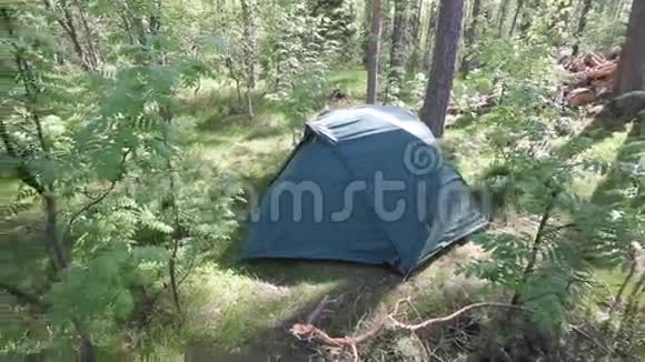 森林里的帐篷视频的预览图