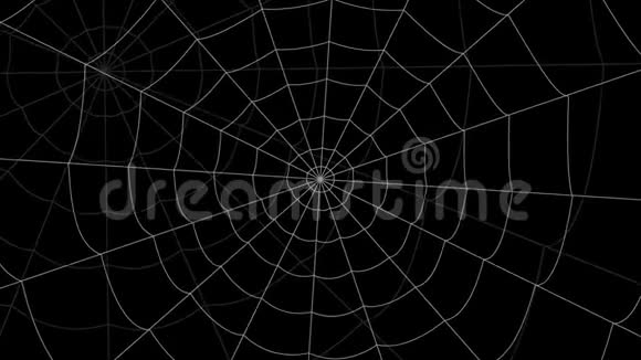 很少有蜘蛛网在黑色背景下移动视频的预览图