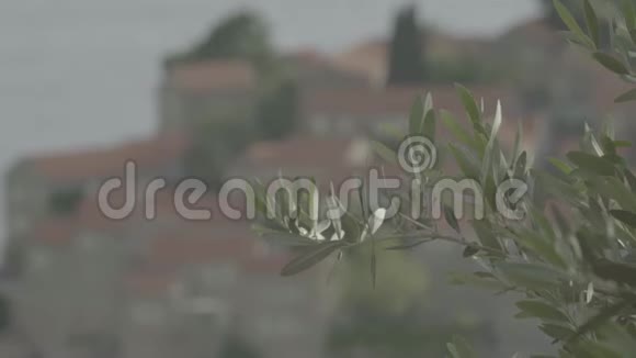 斯维蒂斯特凡是海边的旅游小镇黑山视频的预览图
