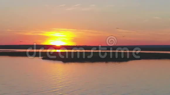 五彩缤纷的天空背景下的一群鸟河上日落海鸥岛鸟儿在日落时飞翔视频的预览图