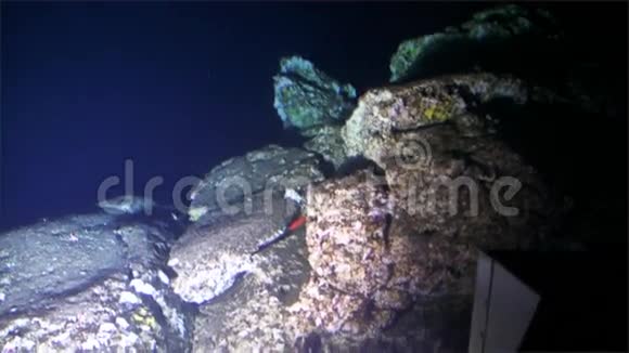 从海底太平洋科科斯岛俯瞰水下深海山脉视频的预览图