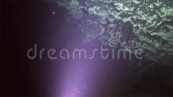 海底太平洋科科斯岛水下珊瑚深海景观视频的预览图