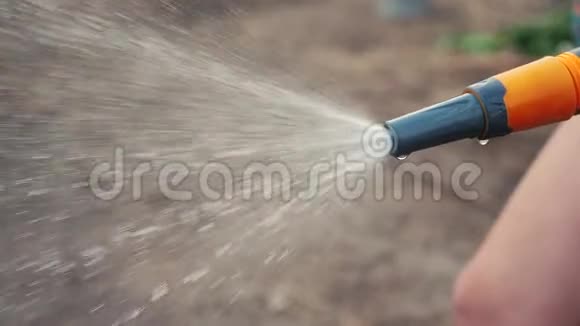 园艺园林护理理念生活方式泼水慢动作视频拿着花园水管浇水的女人视频的预览图