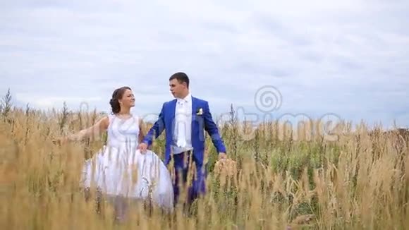 快乐美丽的新娘新郎走在田野上视频的预览图