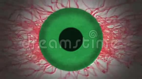 带眨眼的绿色眼睛视频的预览图