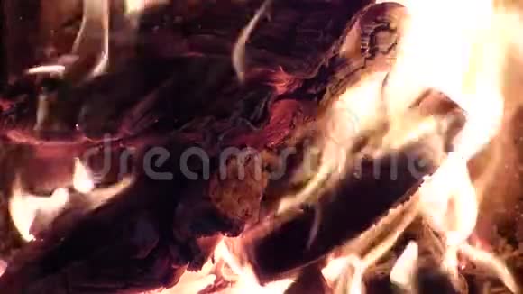 炉或篝火的特写镜头视频的预览图