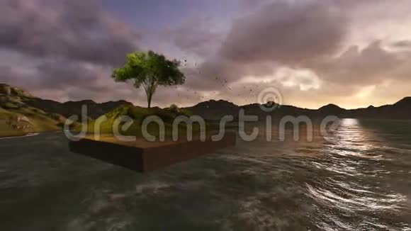 3d软件制作的带有树木的浮土视频的预览图