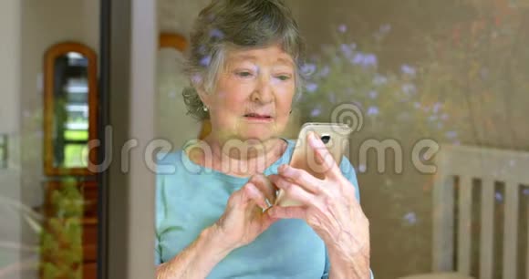 老年妇女使用手机4k视频的预览图