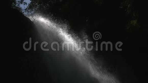 山林中的瀑布视频的预览图